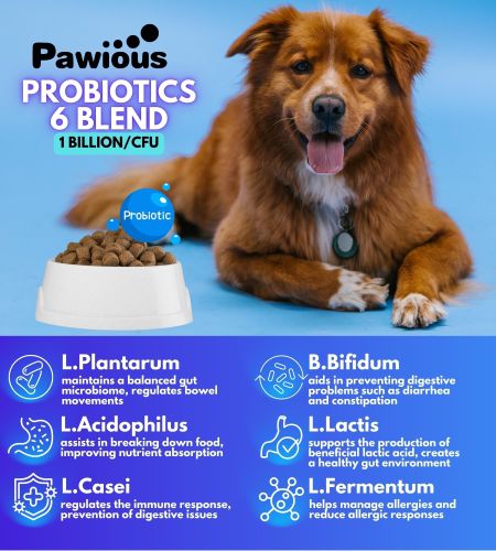 Probiotics for Dogs Digestive Enzymes Gut Flora Digestive Health Immune System Diarrhea Support Itchy Skin Allergies Pumpkin Flaxseed Meal Papaya