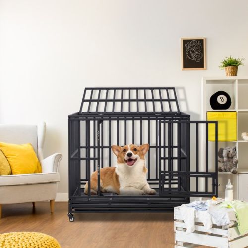 42 Inch Square Tube Dog Cage 42 Inch Square Tube Dog Cage